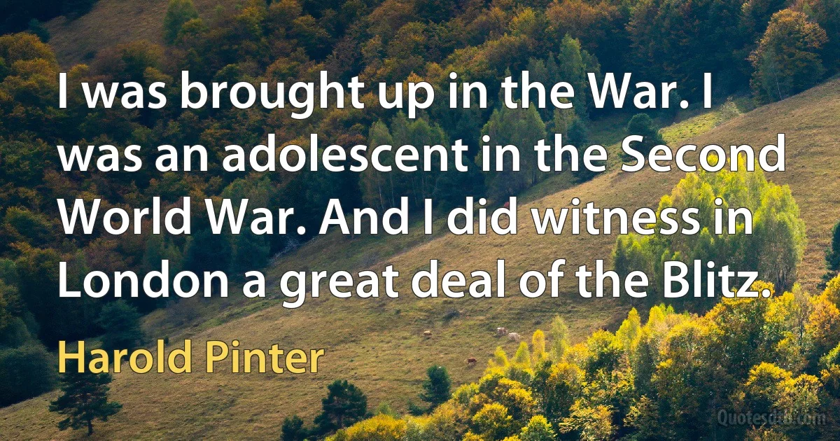 I was brought up in the War. I was an adolescent in the Second World War. And I did witness in London a great deal of the Blitz. (Harold Pinter)