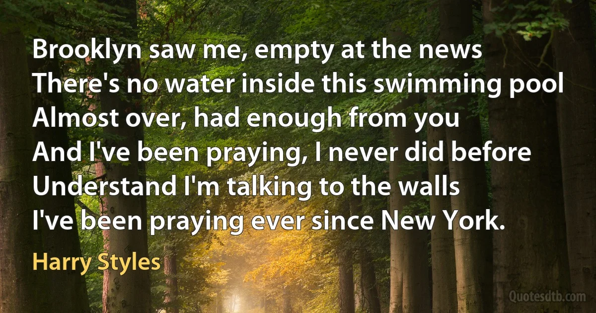 Brooklyn saw me, empty at the news
There's no water inside this swimming pool
Almost over, had enough from you
And I've been praying, I never did before
Understand I'm talking to the walls
I've been praying ever since New York. (Harry Styles)