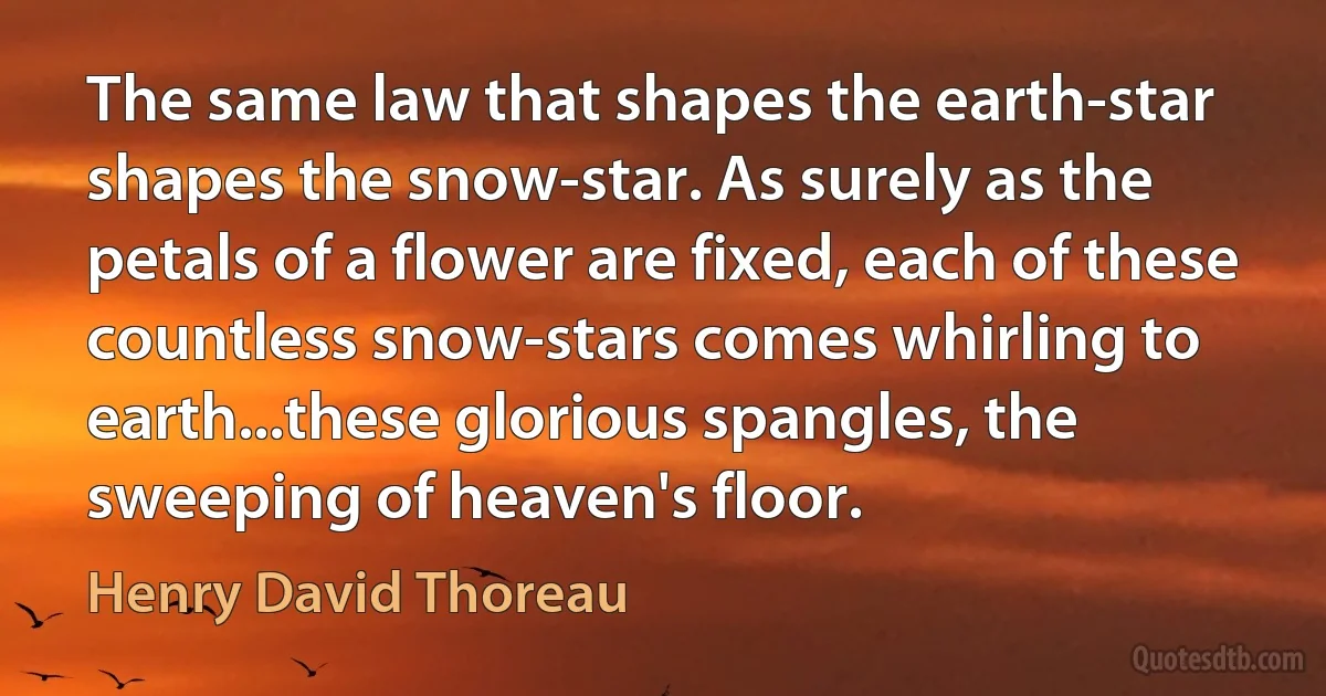 The same law that shapes the earth-star shapes the snow-star. As surely as the petals of a flower are fixed, each of these countless snow-stars comes whirling to earth...these glorious spangles, the sweeping of heaven's floor. (Henry David Thoreau)