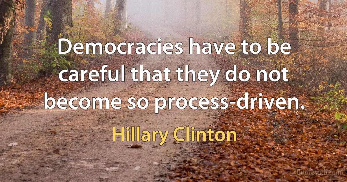 Democracies have to be careful that they do not become so process-driven. (Hillary Clinton)