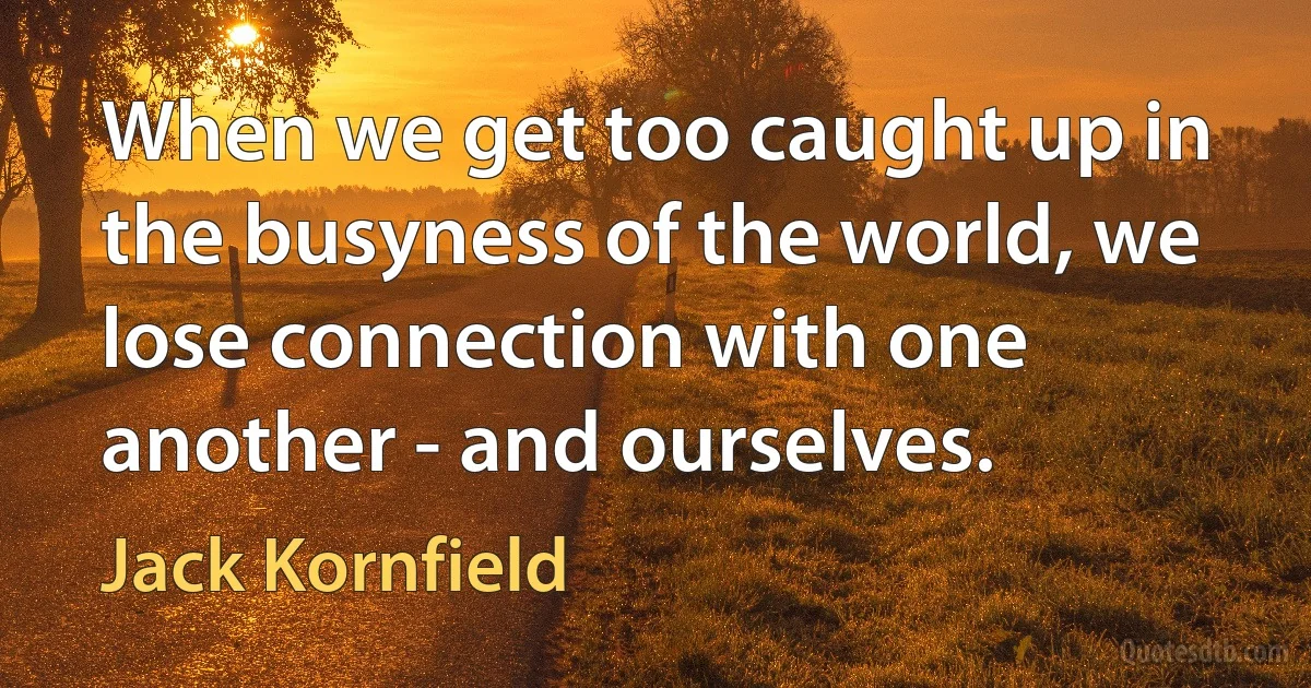 When we get too caught up in the busyness of the world, we lose connection with one another - and ourselves. (Jack Kornfield)