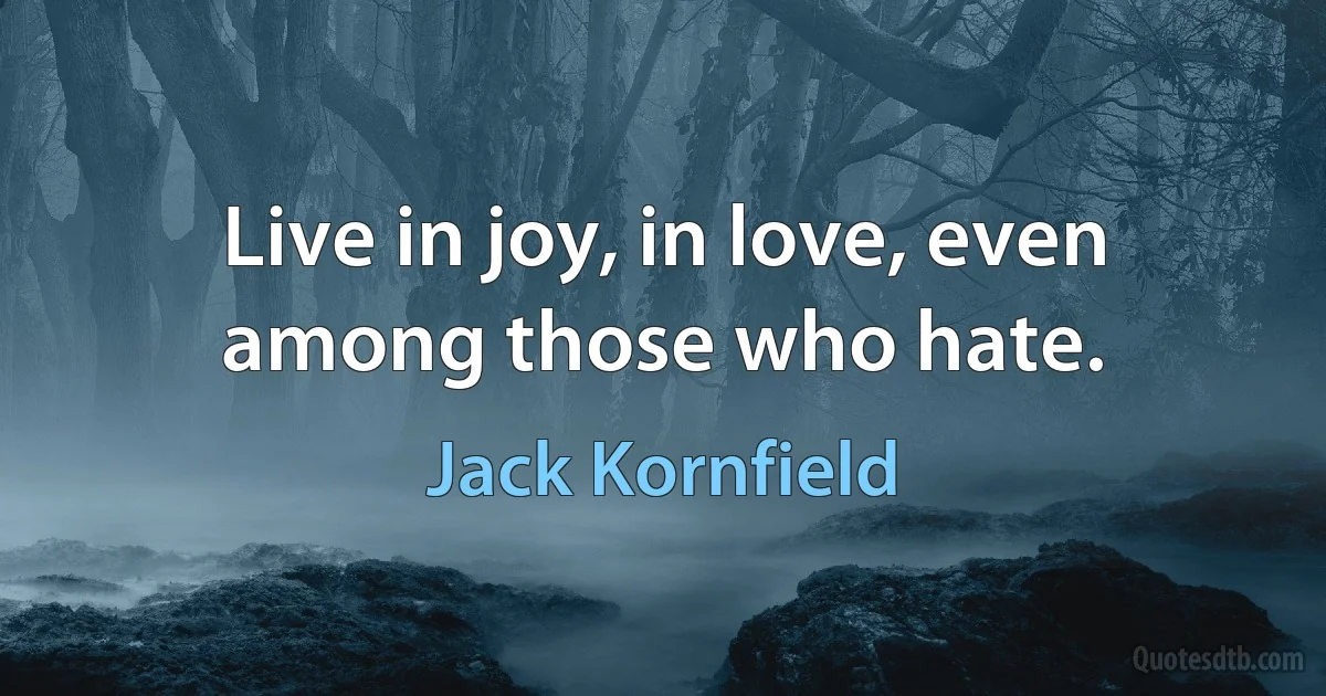 Live in joy, in love, even among those who hate. (Jack Kornfield)