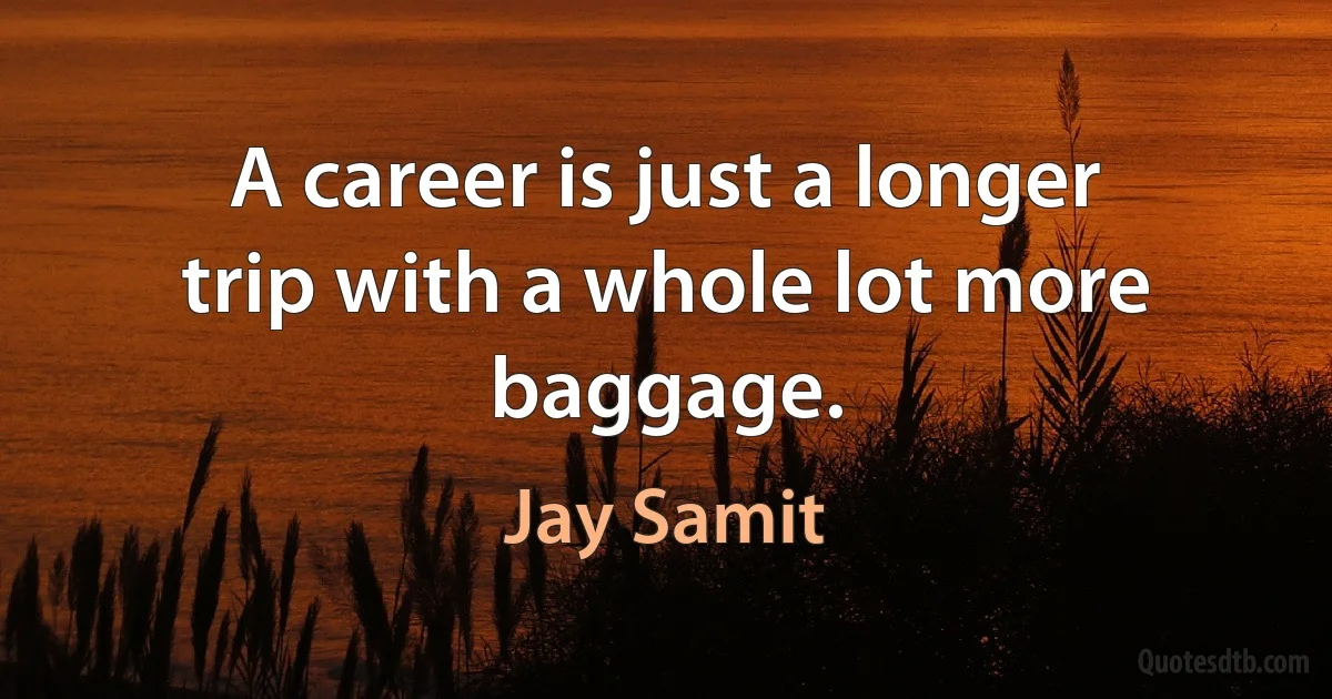 A career is just a longer trip with a whole lot more baggage. (Jay Samit)