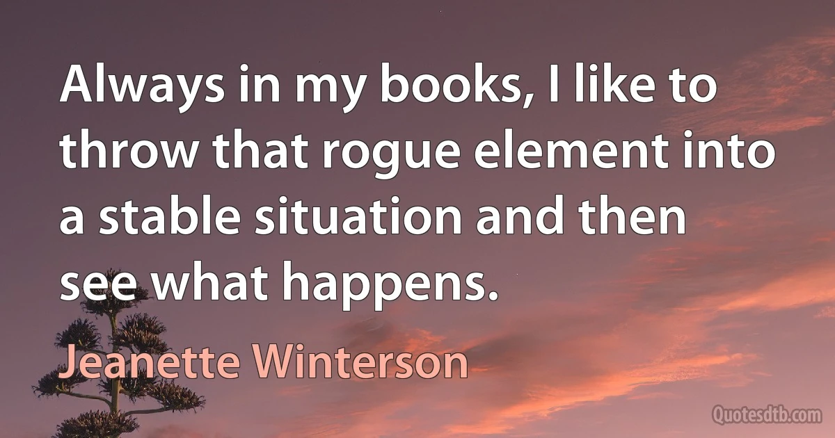 Always in my books, I like to throw that rogue element into a stable situation and then see what happens. (Jeanette Winterson)