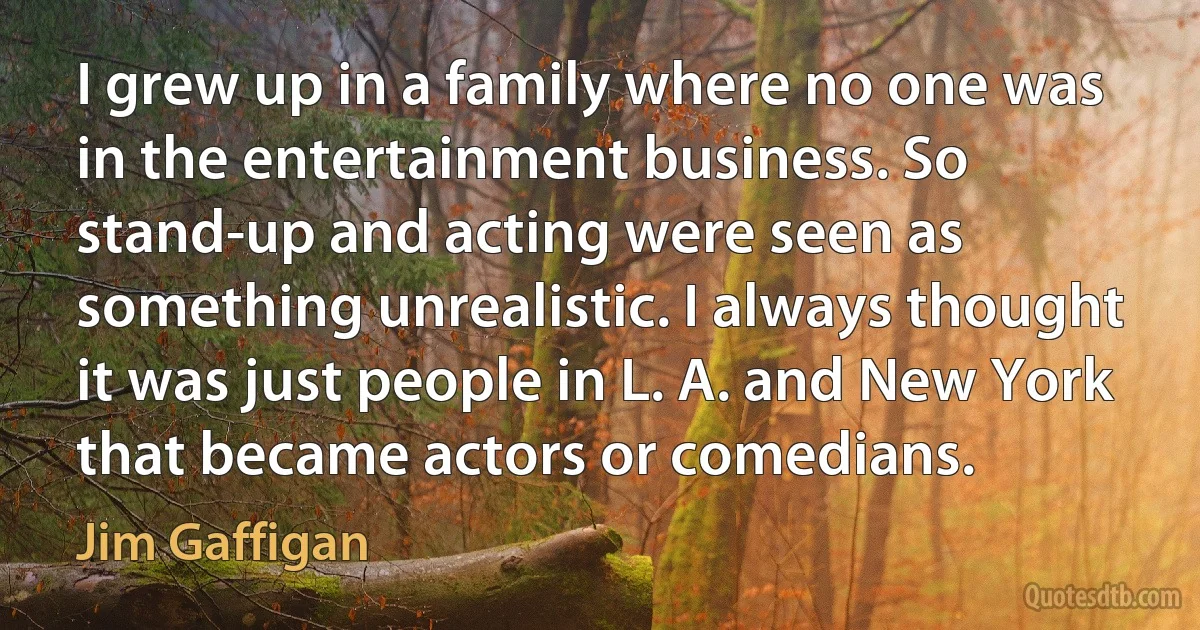 I grew up in a family where no one was in the entertainment business. So stand-up and acting were seen as something unrealistic. I always thought it was just people in L. A. and New York that became actors or comedians. (Jim Gaffigan)