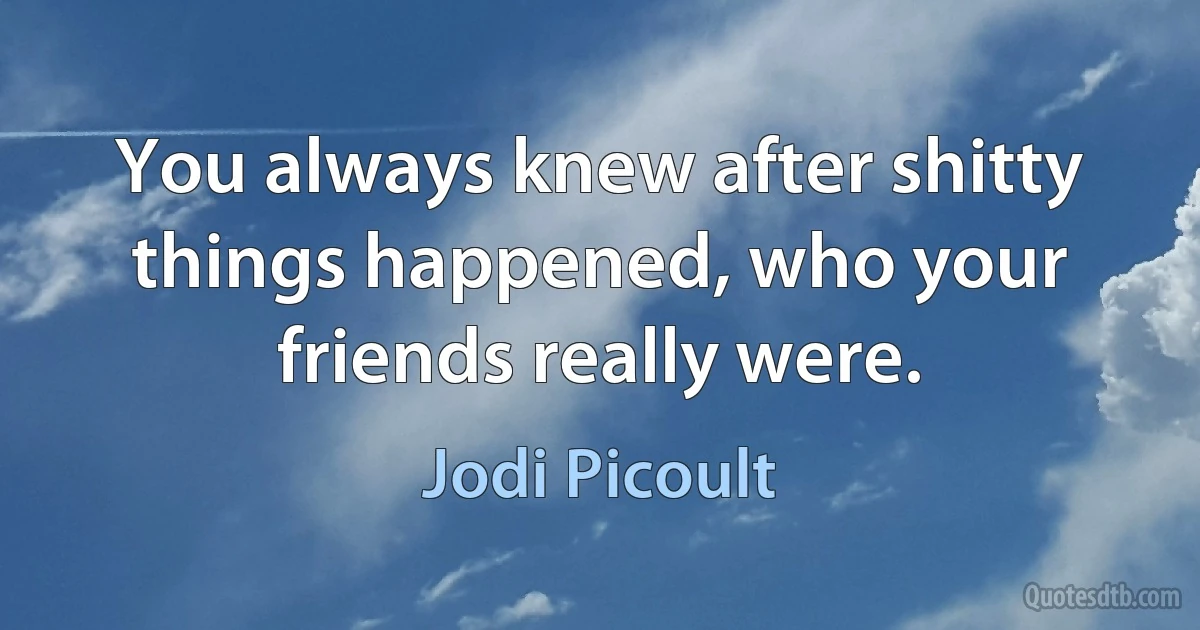 You always knew after shitty things happened, who your friends really were. (Jodi Picoult)