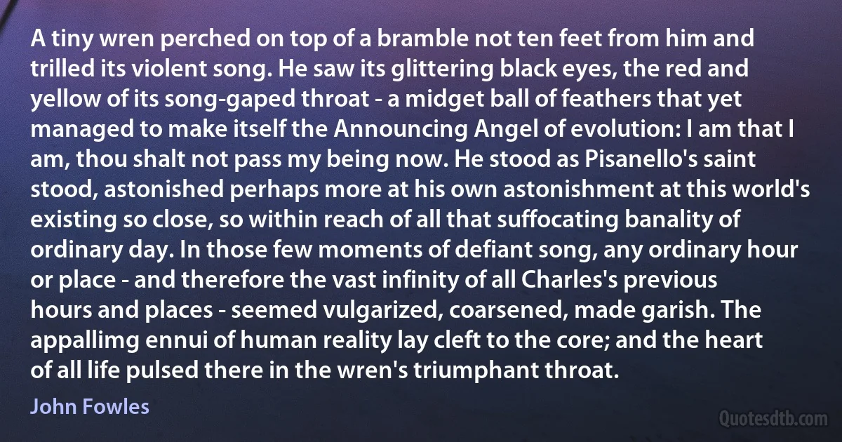 A tiny wren perched on top of a bramble not ten feet from him and trilled its violent song. He saw its glittering black eyes, the red and yellow of its song-gaped throat - a midget ball of feathers that yet managed to make itself the Announcing Angel of evolution: I am that I am, thou shalt not pass my being now. He stood as Pisanello's saint stood, astonished perhaps more at his own astonishment at this world's existing so close, so within reach of all that suffocating banality of ordinary day. In those few moments of defiant song, any ordinary hour or place - and therefore the vast infinity of all Charles's previous hours and places - seemed vulgarized, coarsened, made garish. The appallimg ennui of human reality lay cleft to the core; and the heart of all life pulsed there in the wren's triumphant throat. (John Fowles)