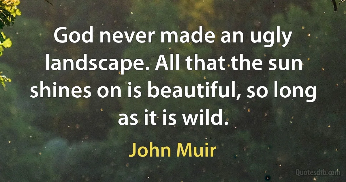 God never made an ugly landscape. All that the sun shines on is beautiful, so long as it is wild. (John Muir)