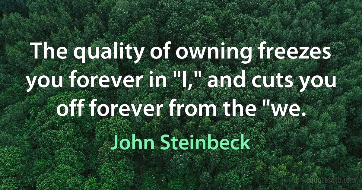 The quality of owning freezes you forever in "I," and cuts you off forever from the "we. (John Steinbeck)