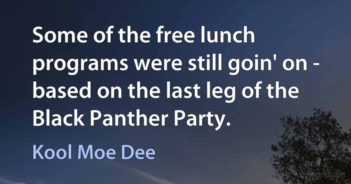 Some of the free lunch programs were still goin' on - based on the last leg of the Black Panther Party. (Kool Moe Dee)