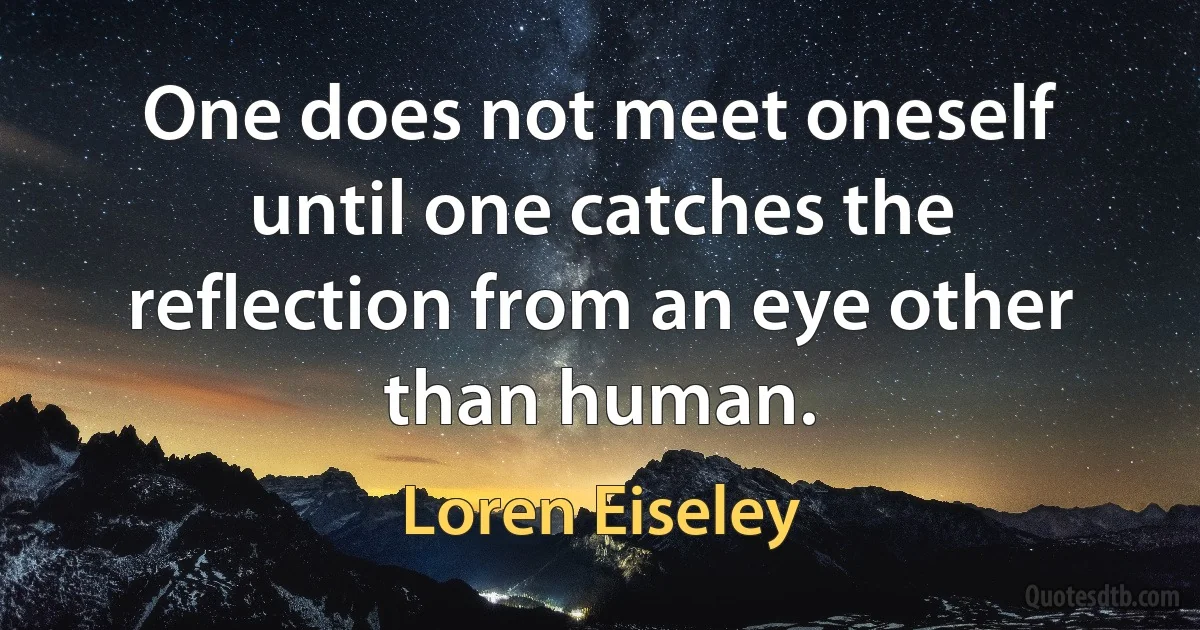 One does not meet oneself until one catches the reflection from an eye other than human. (Loren Eiseley)