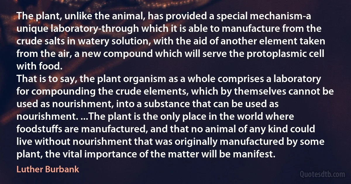 The plant, unlike the animal, has provided a special mechanism-a unique laboratory-through which it is able to manufacture from the crude salts in watery solution, with the aid of another element taken from the air, a new compound which will serve the protoplasmic cell with food.
That is to say, the plant organism as a whole comprises a laboratory for compounding the crude elements, which by themselves cannot be used as nourishment, into a substance that can be used as nourishment. ...The plant is the only place in the world where foodstuffs are manufactured, and that no animal of any kind could live without nourishment that was originally manufactured by some plant, the vital importance of the matter will be manifest. (Luther Burbank)