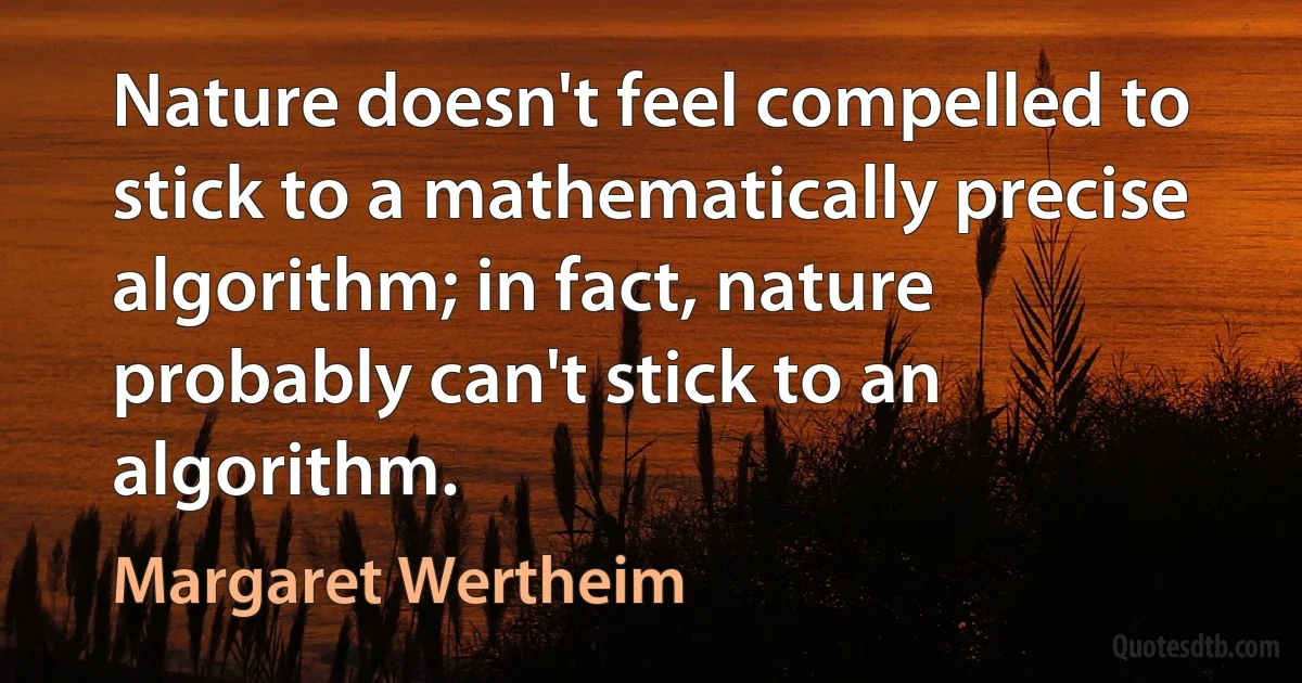 Nature doesn't feel compelled to stick to a mathematically precise algorithm; in fact, nature probably can't stick to an algorithm. (Margaret Wertheim)