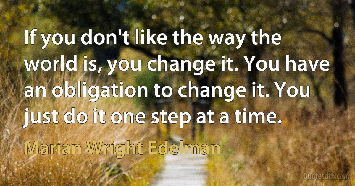 If you don't like the way the world is, you change it. You have an obligation to change it. You just do it one step at a time. (Marian Wright Edelman)