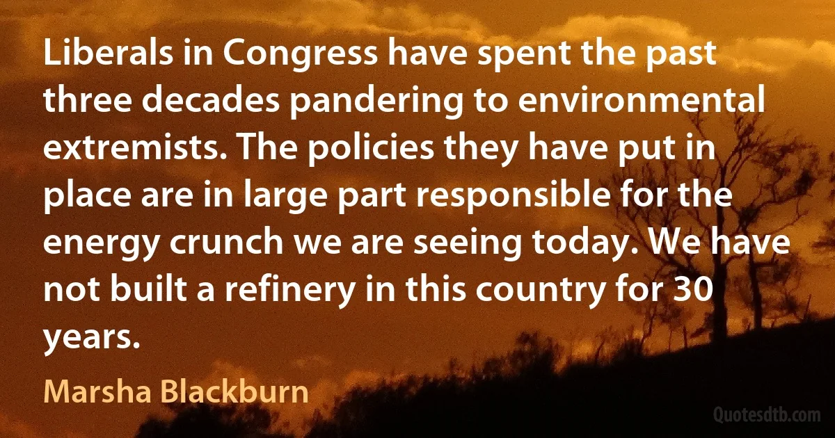 Liberals in Congress have spent the past three decades pandering to environmental extremists. The policies they have put in place are in large part responsible for the energy crunch we are seeing today. We have not built a refinery in this country for 30 years. (Marsha Blackburn)