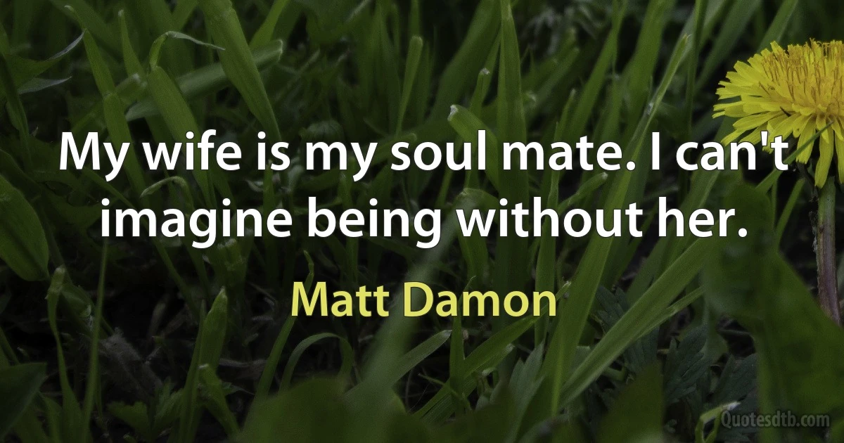 My wife is my soul mate. I can't imagine being without her. (Matt Damon)