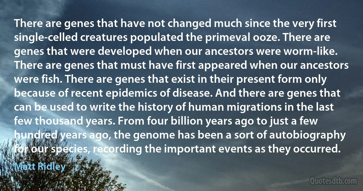 There are genes that have not changed much since the very first single-celled creatures populated the primeval ooze. There are genes that were developed when our ancestors were worm-like. There are genes that must have first appeared when our ancestors were fish. There are genes that exist in their present form only because of recent epidemics of disease. And there are genes that can be used to write the history of human migrations in the last few thousand years. From four billion years ago to just a few hundred years ago, the genome has been a sort of autobiography for our species, recording the important events as they occurred. (Matt Ridley)