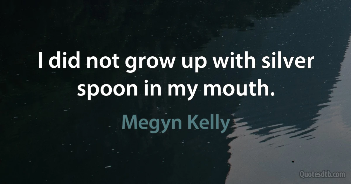 I did not grow up with silver spoon in my mouth. (Megyn Kelly)