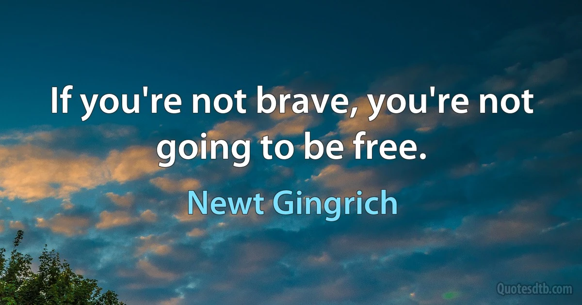 If you're not brave, you're not going to be free. (Newt Gingrich)