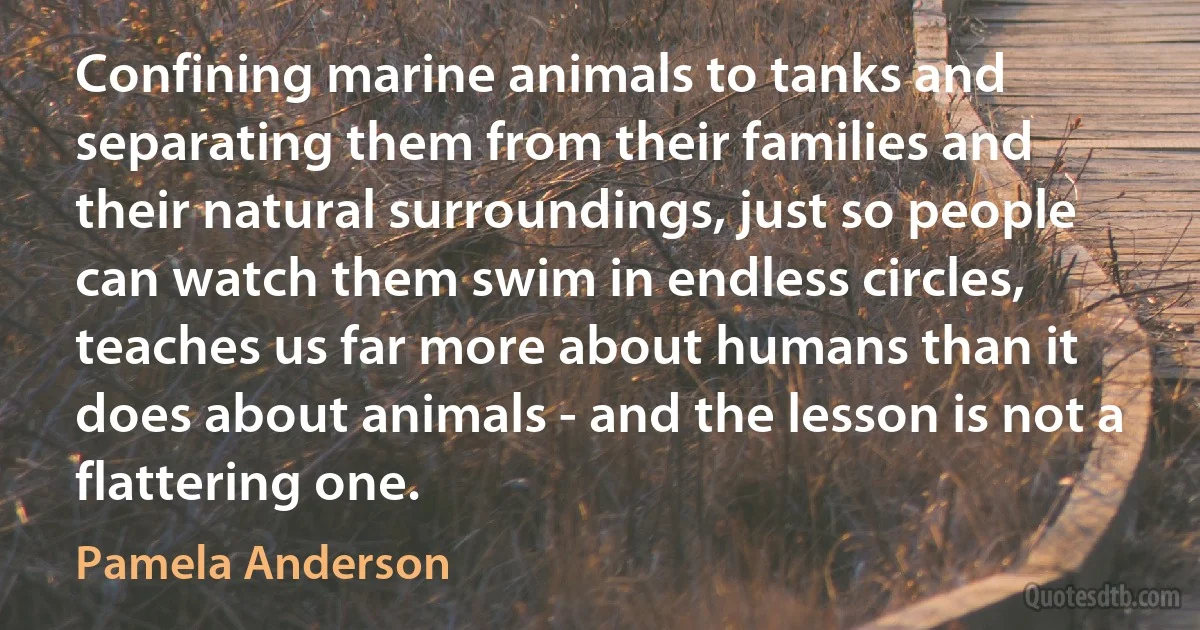 Confining marine animals to tanks and separating them from their families and their natural surroundings, just so people can watch them swim in endless circles, teaches us far more about humans than it does about animals - and the lesson is not a flattering one. (Pamela Anderson)