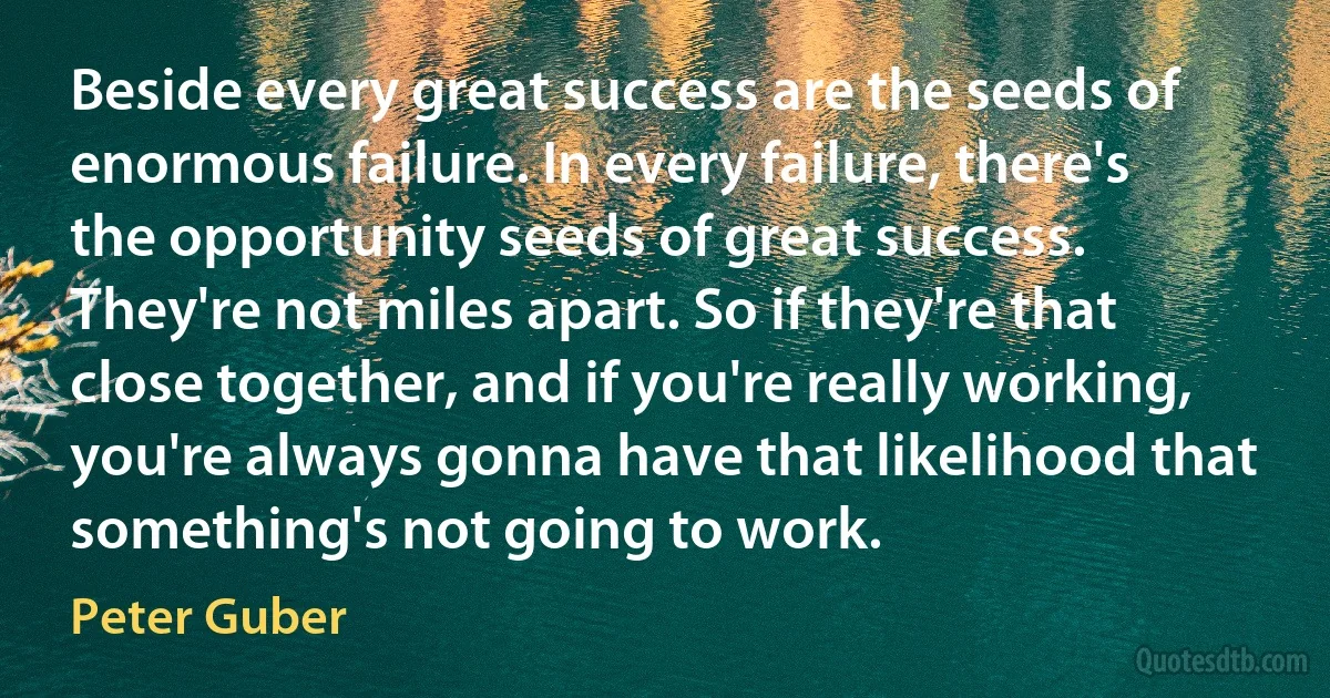 Beside every great success are the seeds of enormous failure. In every failure, there's the opportunity seeds of great success. They're not miles apart. So if they're that close together, and if you're really working, you're always gonna have that likelihood that something's not going to work. (Peter Guber)