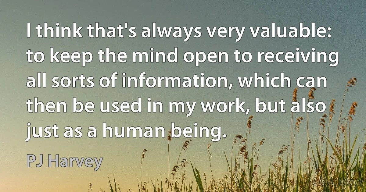 I think that's always very valuable: to keep the mind open to receiving all sorts of information, which can then be used in my work, but also just as a human being. (PJ Harvey)