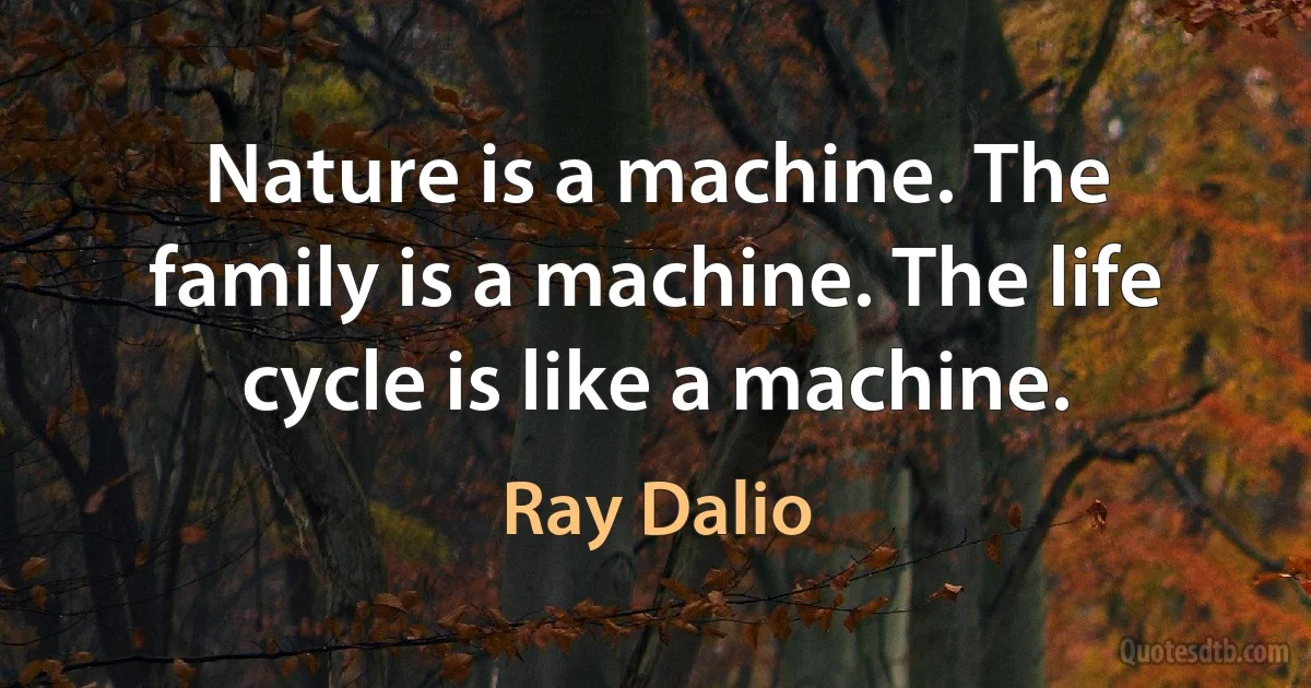 Nature is a machine. The family is a machine. The life cycle is like a machine. (Ray Dalio)