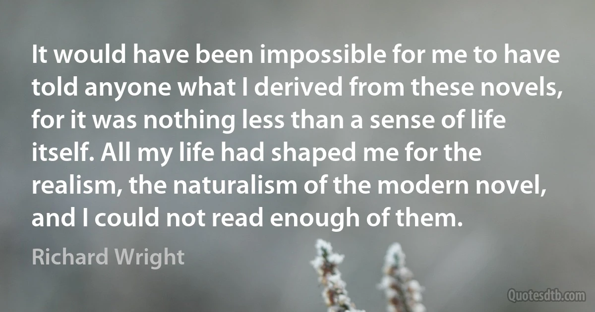 It would have been impossible for me to have told anyone what I derived from these novels, for it was nothing less than a sense of life itself. All my life had shaped me for the realism, the naturalism of the modern novel, and I could not read enough of them. (Richard Wright)