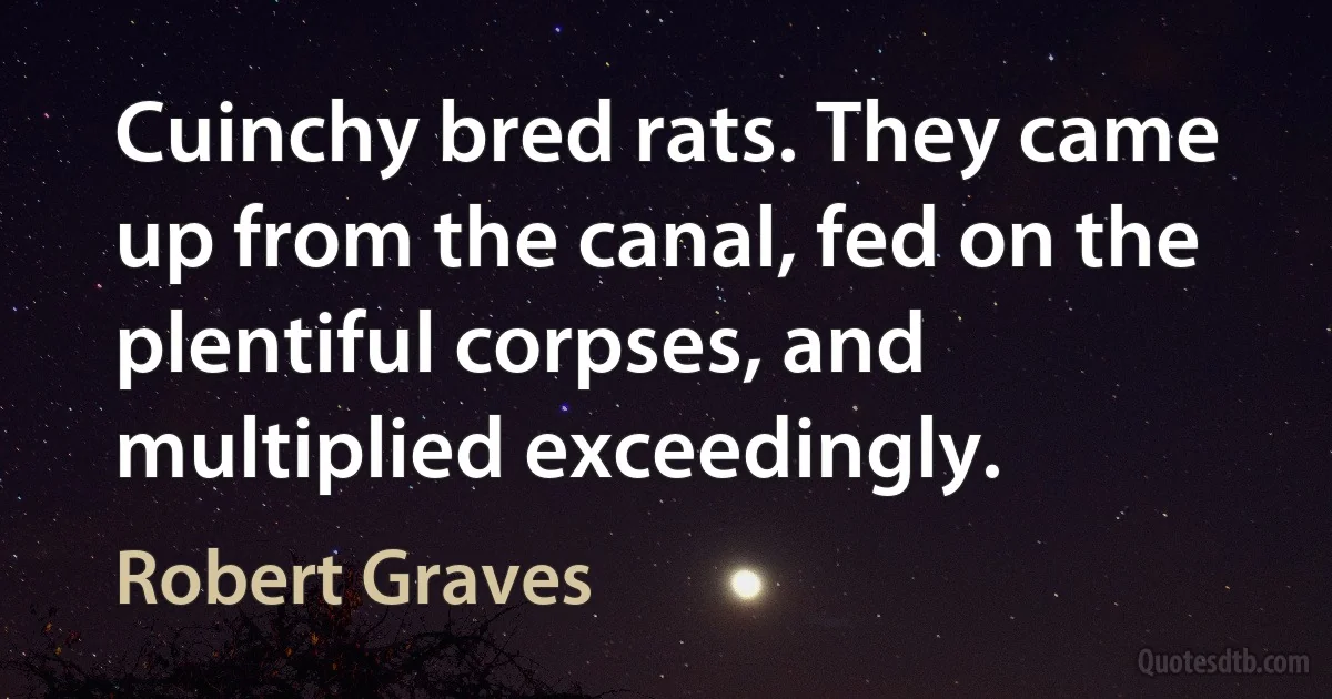 Cuinchy bred rats. They came up from the canal, fed on the plentiful corpses, and multiplied exceedingly. (Robert Graves)