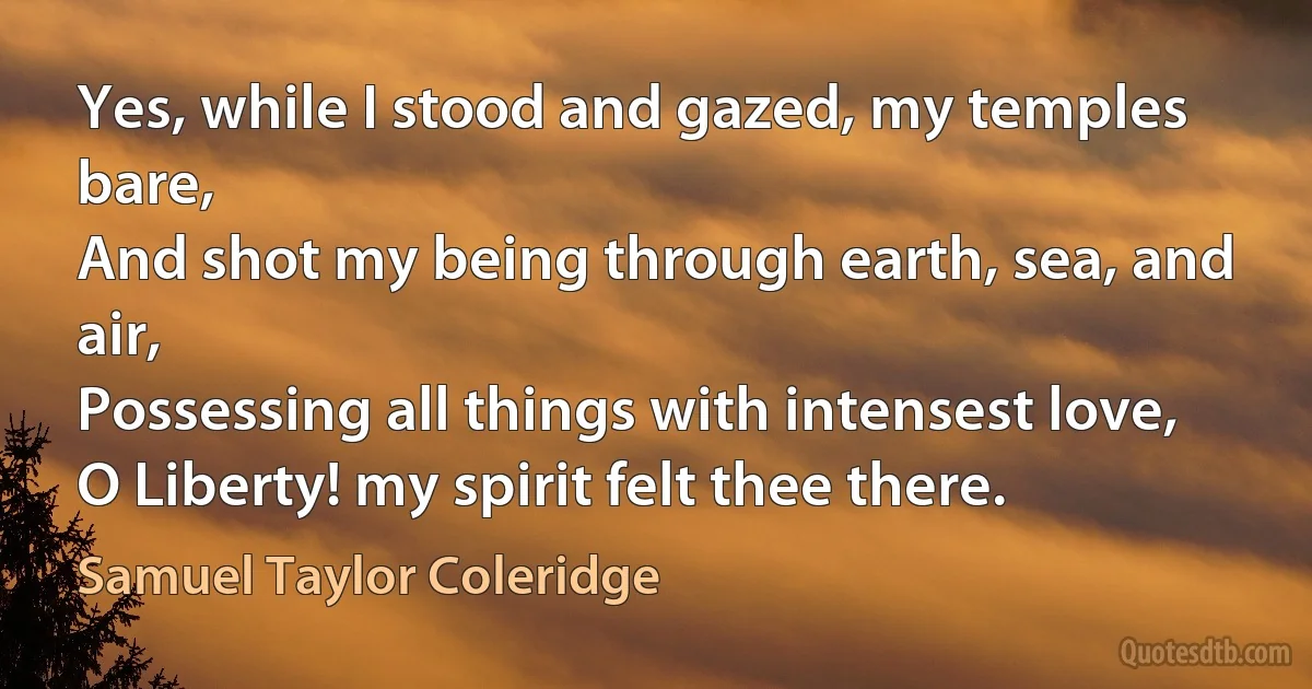 Yes, while I stood and gazed, my temples bare,
And shot my being through earth, sea, and air,
Possessing all things with intensest love,
O Liberty! my spirit felt thee there. (Samuel Taylor Coleridge)