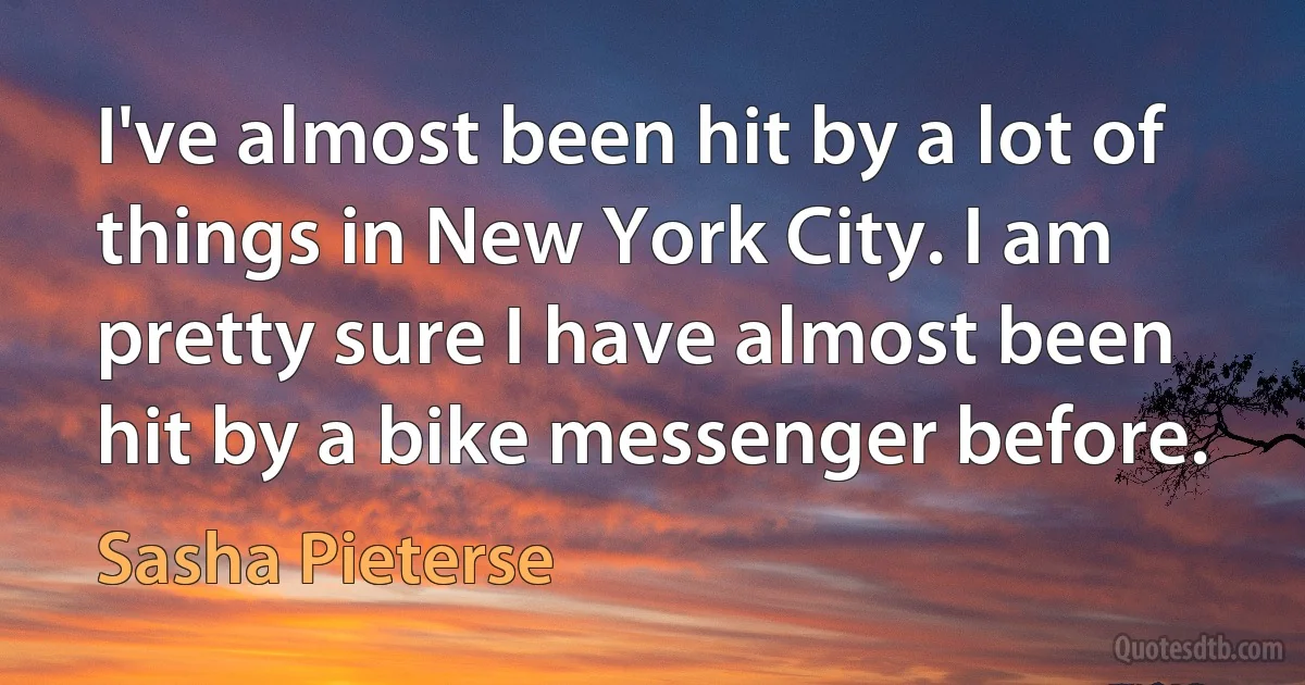 I've almost been hit by a lot of things in New York City. I am pretty sure I have almost been hit by a bike messenger before. (Sasha Pieterse)