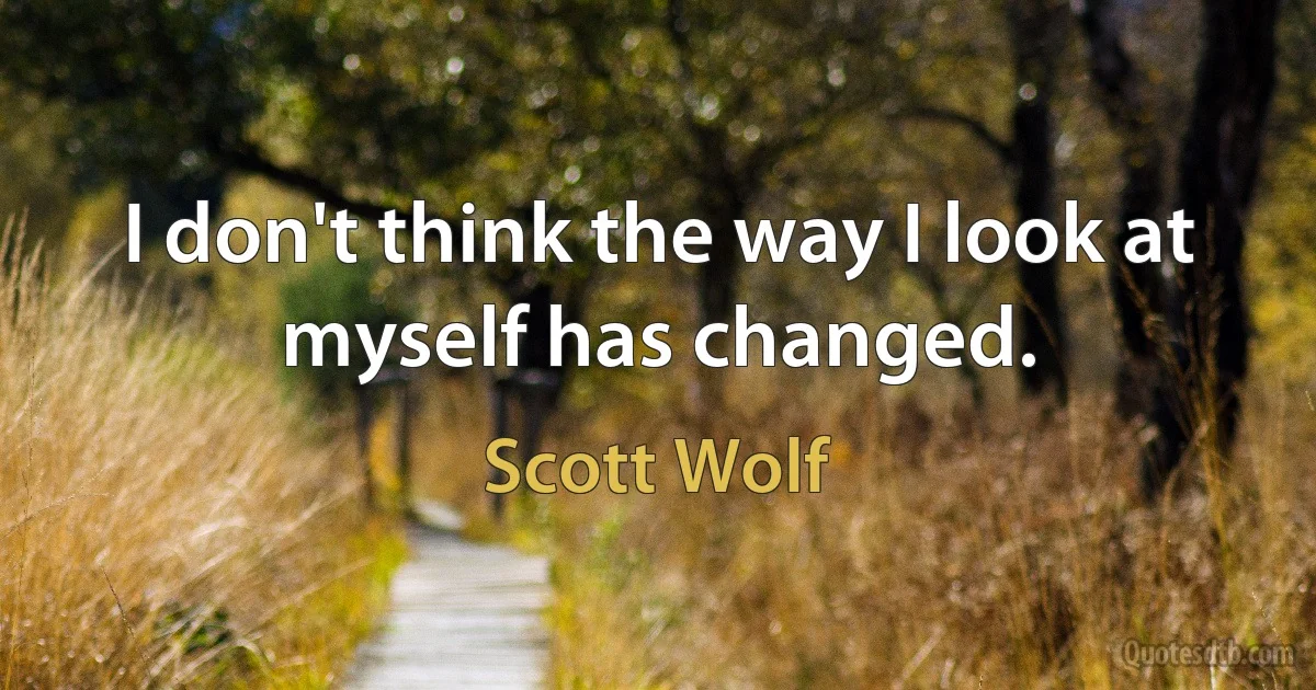 I don't think the way I look at myself has changed. (Scott Wolf)