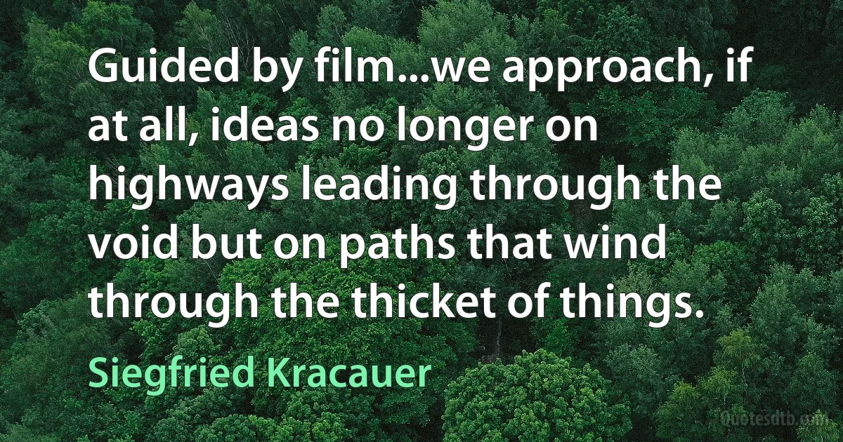 Guided by film...we approach, if at all, ideas no longer on highways leading through the void but on paths that wind through the thicket of things. (Siegfried Kracauer)