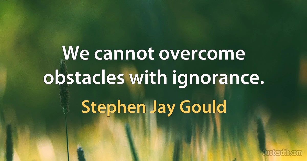 We cannot overcome obstacles with ignorance. (Stephen Jay Gould)