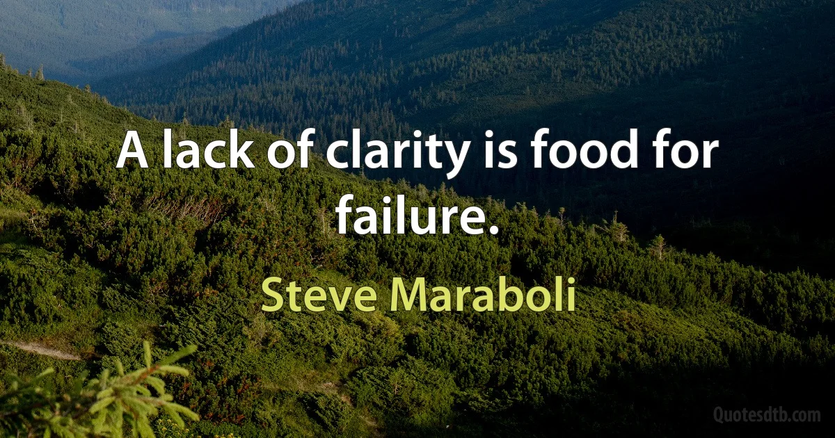 A lack of clarity is food for failure. (Steve Maraboli)