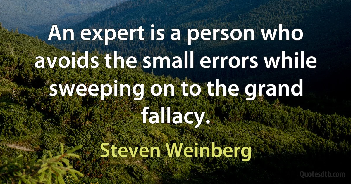 An expert is a person who avoids the small errors while sweeping on to the grand fallacy. (Steven Weinberg)