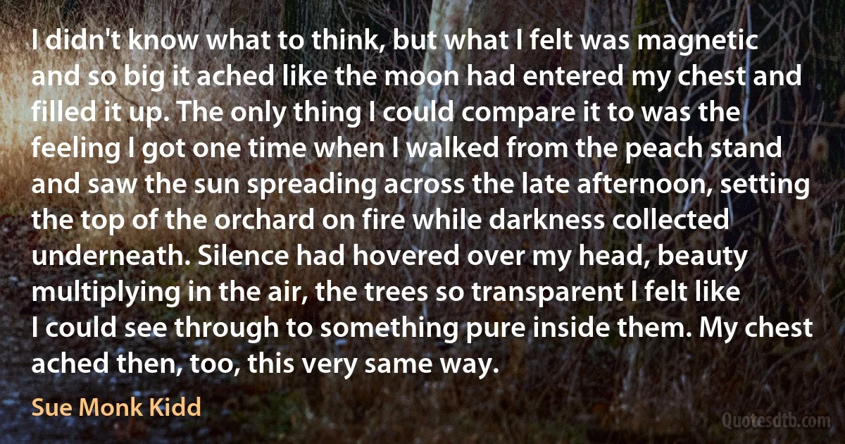 I didn't know what to think, but what I felt was magnetic and so big it ached like the moon had entered my chest and filled it up. The only thing I could compare it to was the feeling I got one time when I walked from the peach stand and saw the sun spreading across the late afternoon, setting the top of the orchard on fire while darkness collected underneath. Silence had hovered over my head, beauty multiplying in the air, the trees so transparent I felt like I could see through to something pure inside them. My chest ached then, too, this very same way. (Sue Monk Kidd)