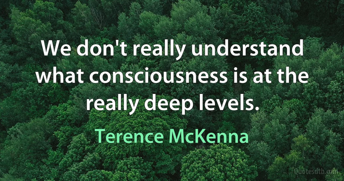 We don't really understand what consciousness is at the really deep levels. (Terence McKenna)