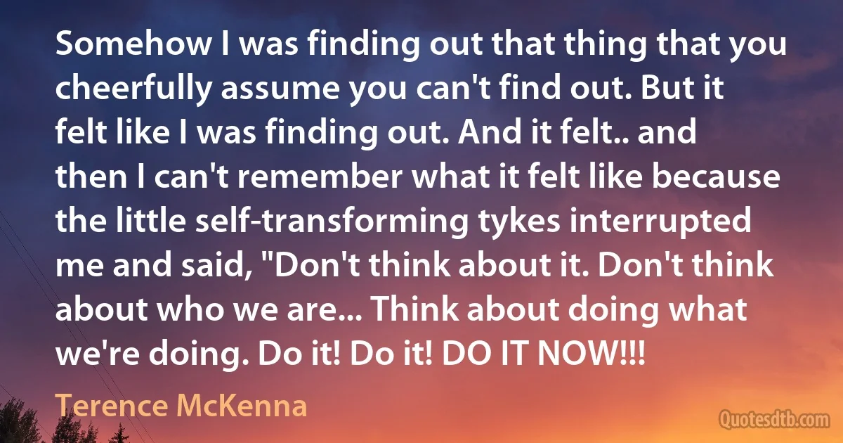 Somehow I was finding out that thing that you cheerfully assume you can't find out. But it felt like I was finding out. And it felt.. and then I can't remember what it felt like because the little self-transforming tykes interrupted me and said, "Don't think about it. Don't think about who we are... Think about doing what we're doing. Do it! Do it! DO IT NOW!!! (Terence McKenna)