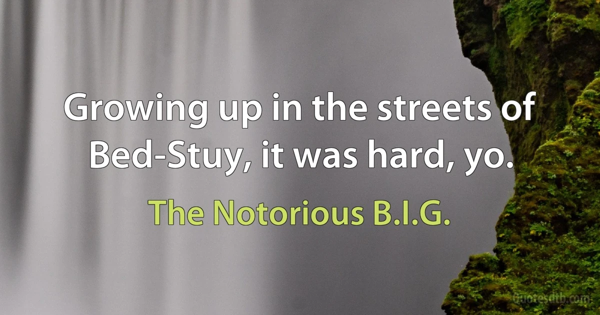 Growing up in the streets of Bed-Stuy, it was hard, yo. (The Notorious B.I.G.)