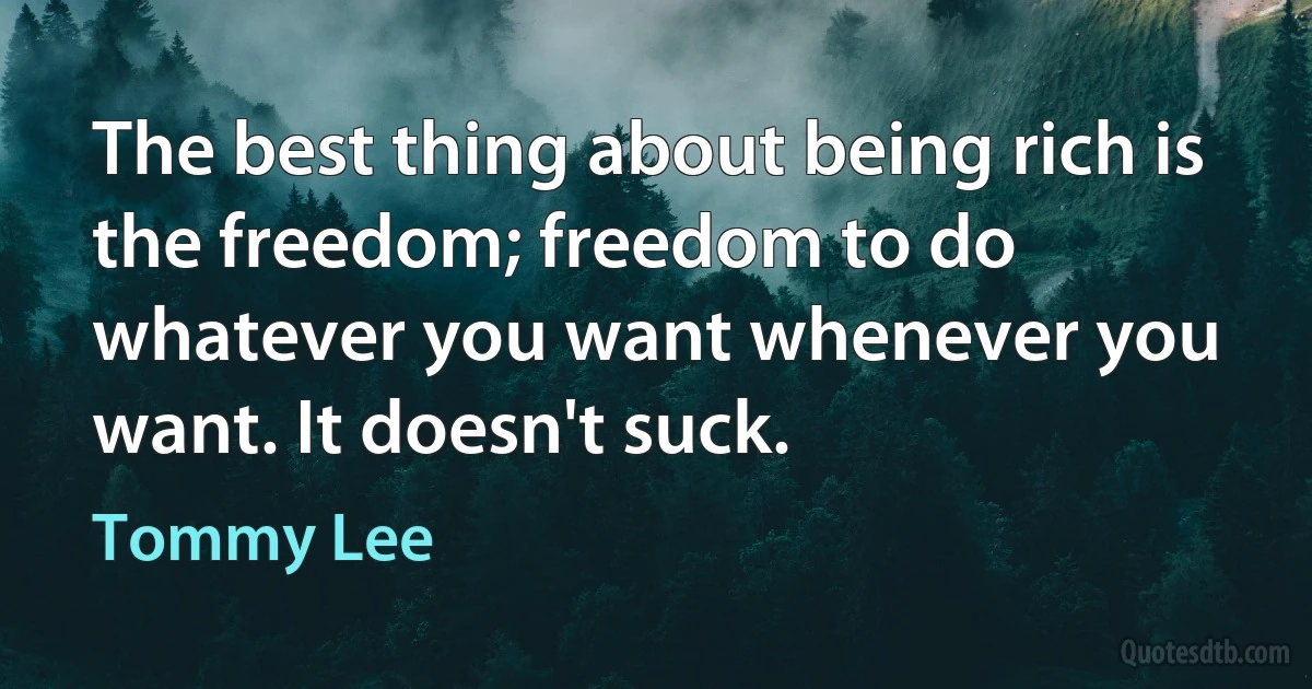 The best thing about being rich is the freedom; freedom to do whatever you want whenever you want. It doesn't suck. (Tommy Lee)