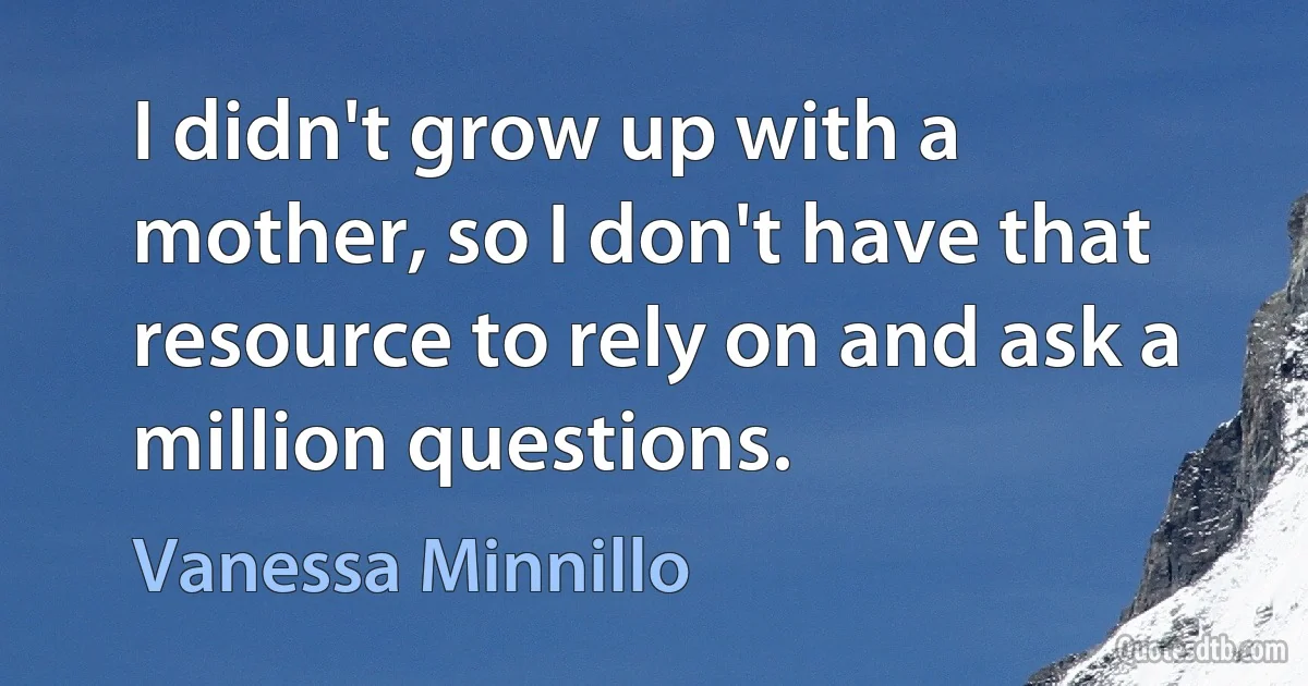 I didn't grow up with a mother, so I don't have that resource to rely on and ask a million questions. (Vanessa Minnillo)