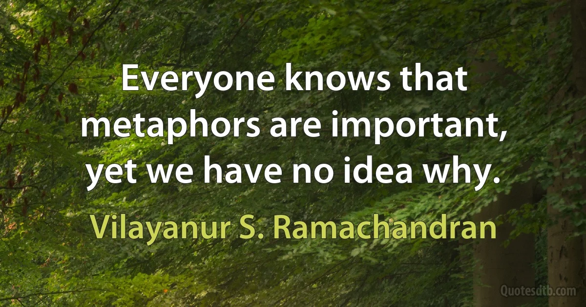 Everyone knows that metaphors are important, yet we have no idea why. (Vilayanur S. Ramachandran)