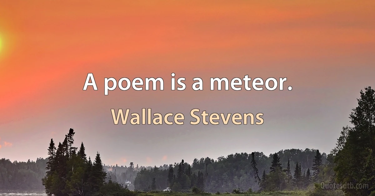 A poem is a meteor. (Wallace Stevens)