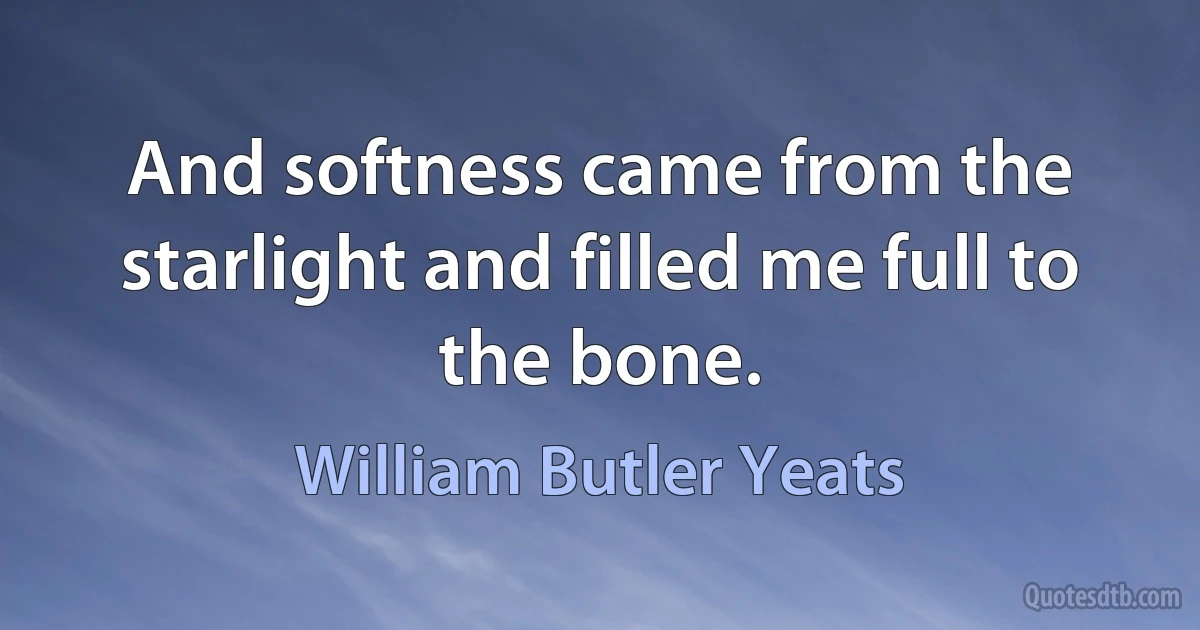 And softness came from the starlight and filled me full to the bone. (William Butler Yeats)