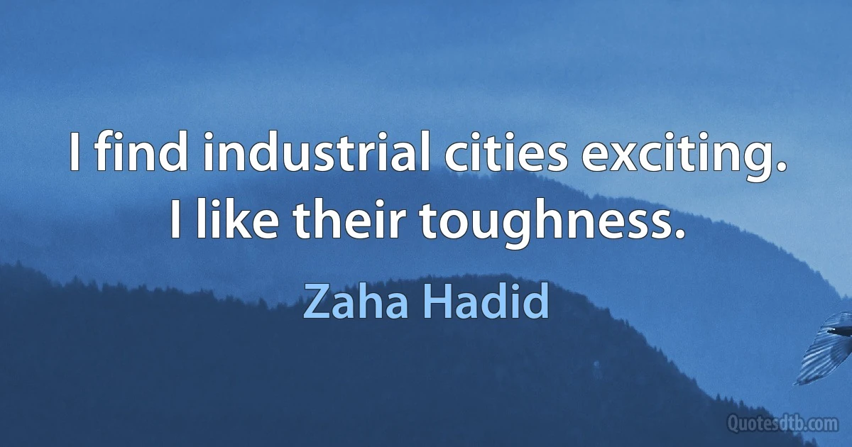 I find industrial cities exciting. I like their toughness. (Zaha Hadid)