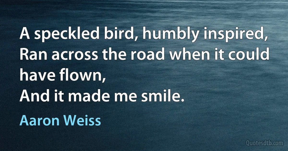 A speckled bird, humbly inspired,
Ran across the road when it could have flown,
And it made me smile. (Aaron Weiss)