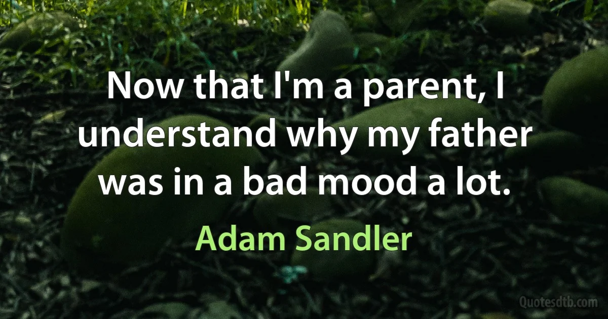 Now that I'm a parent, I understand why my father was in a bad mood a lot. (Adam Sandler)