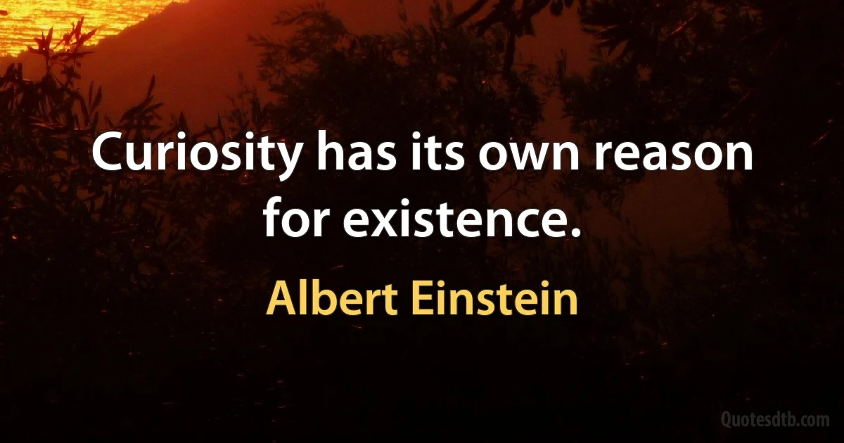 Curiosity has its own reason for existence. (Albert Einstein)