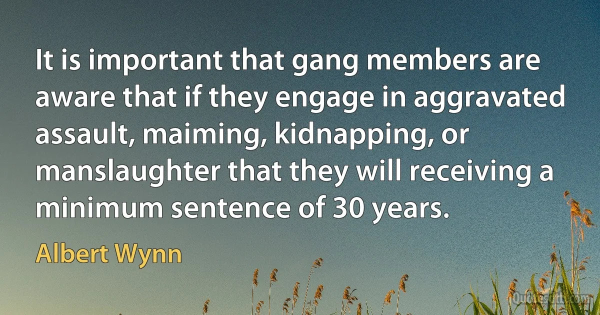 It is important that gang members are aware that if they engage in aggravated assault, maiming, kidnapping, or manslaughter that they will receiving a minimum sentence of 30 years. (Albert Wynn)